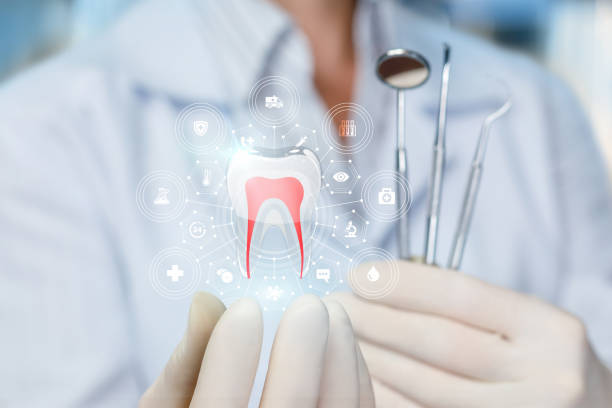  Boulder Creek, CA Holistic Dental Services Pros